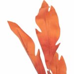 GAŁĄZKA LIŚCI OZDOBNYCH 112 CM KOLOR POMARAŃCZOWY - obrazek 2