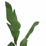 GAŁĄZKA LIŚCI OZDOBNYCH 112 CM KOLOR ZIELONY - obrazek 2