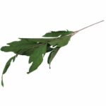 GAŁĄZKA LIŚCI OZDOBNYCH 112 CM KOLOR ZIELONY - obrazek 3