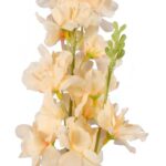 Gałązka Dekoracyjna z Dwoma Kremowymi Kwiatami Ostróżki - obrazek 2