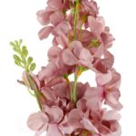 Gałązka dekoracyjna z dwoma kwiatami ostróżki w kolorze pudrowego różu - obrazek 2