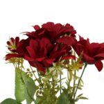 Bukiet 7 margaretek 36cm kolor bordowy - obrazek 2