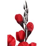 Sztuczny Bukiet 5 Czerwonych Gladioli Wysokiej Jakości, 70 cm - obrazek 2