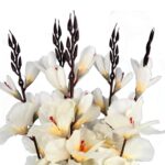 Bukiet 5 gladioli kremowych - obrazek 2