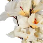 Bukiet 5 gladioli kremowych - obrazek 3