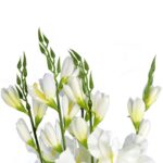 Bukiet białych gladioli sztucznych, naturalnie wyglądających, 65 cm - obrazek 2