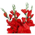 Sztuczny Bukiet 5 Czerwonych Gladioli - Dekoracja o Wysokości 65 cm - obrazek 3