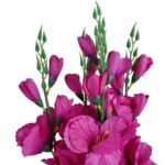 Fioletowy Bukiet 5 Sztucznych Gladioli o Realistycznym Wyglądzie, 65 cm - obrazek 2