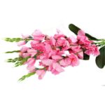 Sztuczny Bukiet 5 Gladioli Jasnoróżowych o Wysokości 65 cm - obrazek 3