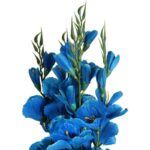 Sztuczny Bukiet Niebieskich Gladioli - 5 Sztuk, Wysokość 65 cm - obrazek 2