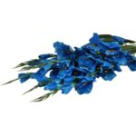 Sztuczny Bukiet Niebieskich Gladioli - 5 Sztuk, Wysokość 65 cm - obrazek 3