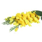 Sztuczny Bukiet 5 Żółtych Gladioli - Realistyczne Wykończenie, 65 cm - obrazek 3