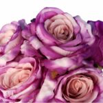 BUKIET 7 RÓŻ Z DODATKAMI 46 CM KOLOR CIEMNY RÓŻ - obrazek 2