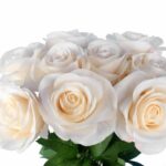 BUKIET 9 RÓŻ 44 CM KOLOR KREMOWY - obrazek 2