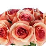 BUKIET 9 RÓŻ 44 CM KOLOR ŁOSOSIOWY - obrazek 2