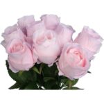 BUKIET 9 RÓŻ 45 CM KOLOR JASNO RÓŻOWY - obrazek 2