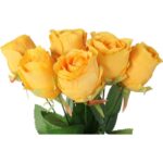 Bułkiet 9 Sztucznych Róż Wysokiej Jakości 45 cm - Kolor Żółty - obrazek 2