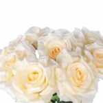 BUKIET 9 RÓŻ 48 CM KOLOR KREMOWY - obrazek 2