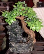 Mały wodospad bonsai [FON5] - obrazek 2
