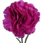 Goździk pojedynka w kolorze fioletowym 54 cm - obrazek 2