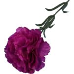 Goździk pojedynka w kolorze fioletowym 54 cm - obrazek 3
