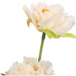 Sztuczna Gałązka z 6 Mini Piwoniami Koloru Kremowego o Długości 60 cm - obrazek 2