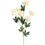 Sztuczna Gałązka z 6 Mini Piwoniami Koloru Kremowego o Długości 60 cm
