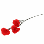 Sztuczny goździk cieniowany - 3 główki, czerwony, 65 cm - obrazek 3