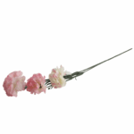 Gałązka trzech goździków różowo białych - obrazek 3