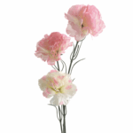 Gałązka trzech goździków różowo białych