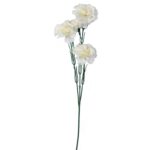 Gałązka pięciu goździków białych - obrazek 2