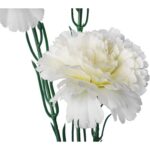 Gałązka pięciu goździków białych - obrazek 3