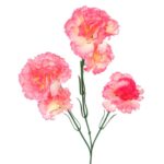 Goździki sztuczne - gałązka 5 sztuk, kolor łososiowy, długość 68 cm. - obrazek 2