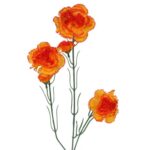 Sztuczna Gałązka z Pięcioma Pomarańczowymi Goździkami - 68 cm - obrazek 2