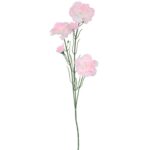 GAŁĄZKA PIĘCIU GOŻDZIKÓW RÓŻOWO-BIAŁE - obrazek 2