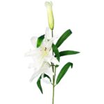 Gałązka białej lilii z dwoma kwiatami i pąkiem - 74 cm - obrazek 2