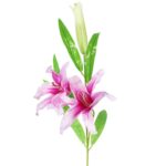 Fioletowa Gałązka Lilii z Dwoma Kwiatami i Pąkiem - 74 cm - obrazek 2