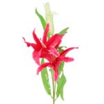 Różowe Lilia: Gałązka z Dwoma Kwiatami i Pąkiem - 74 cm - obrazek 2