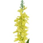 LEWKONIA GAŁĄZKA 90 cm KOLOR ŻÓŁTY - obrazek 2
