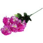 GOŻDZIK GAŁĄZKA 6 KWIATÓW KOLOR FIOLETOWY - obrazek 3