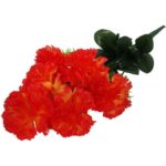 GOŻDZIK GAŁĄZKA 6 KWIATÓW KOLOR POMARAŃCZOWY - obrazek 3