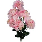 GOŻDZIK GAŁĄZKA 6 KWIATÓW KOLOR RÓŻOWY - obrazek 2