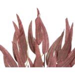 GAŁĄZKA LIŚCI PAPIRUSA 70 cm KOLOR BORDOWY - obrazek 2