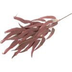 GAŁĄZKA LIŚCI PAPIRUSA 70 cm KOLOR BORDOWY - obrazek 3