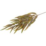 GAŁĄZKA LIŚCI PAPIRUSA 70 cm KOLOR ZIELONO CZERWONY - obrazek 3