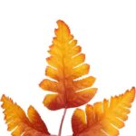 PAPROĆ GAŁĄZKA 37 CM	KOLOR POMARAŃCZOWY - obrazek 2