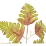 GAŁĄZKA JESIENNEJ PAPROCI  37 CM ZIELONA - obrazek 2