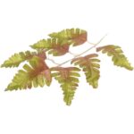 GAŁĄZKA JESIENNEJ PAPROCI  37 CM ZIELONA - obrazek 3