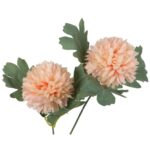 Gałązka podwójnego czosnku w kolorze pomarańczowym - obrazek 2