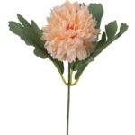 Gałązka podwójnego czosnku w kolorze pomarańczowym - obrazek 3